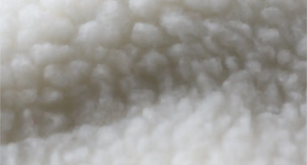 How to Choose the Right Fabric for Winter Fleece Jacket?