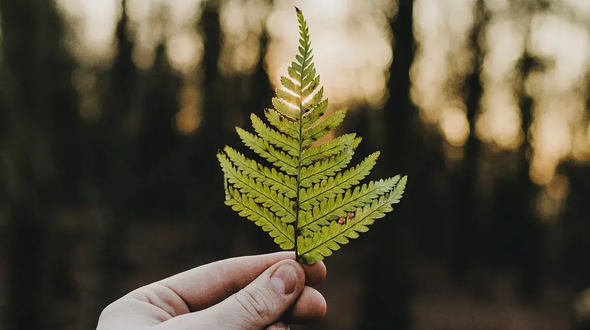 Comparing recycled polyester t shirts from different brands